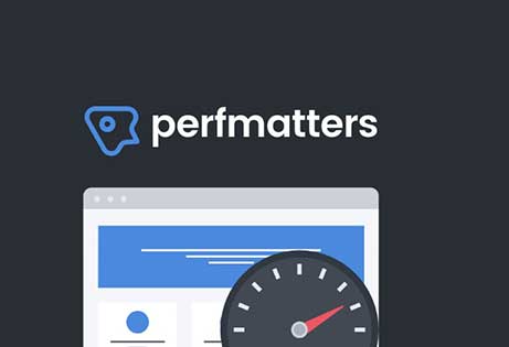 WordPress Agentur JoeWP - Perfmatters Plugin